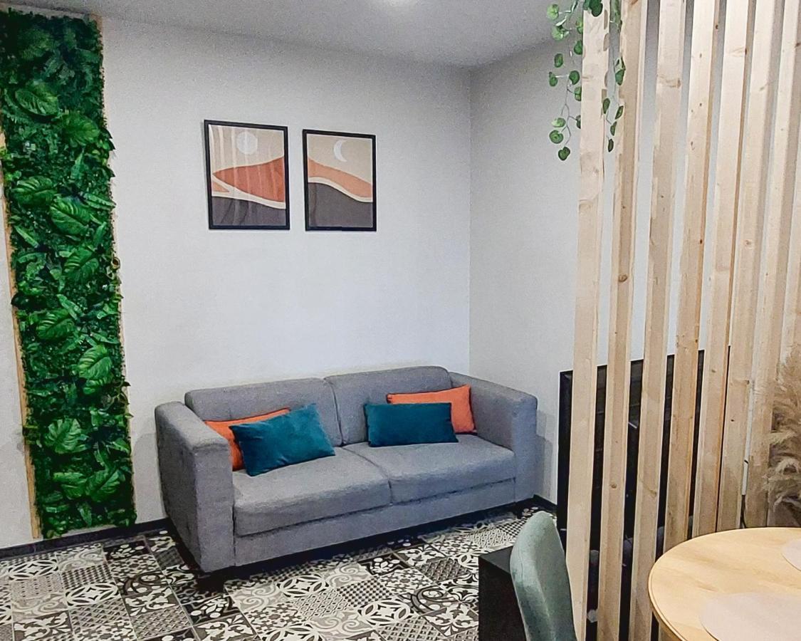 Artgrey * Ideal Pro * Roanne Secteur Gare Et Rue Pietonnes Extérieur photo
